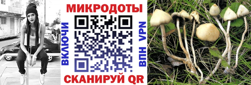 Псилоцибиновые грибы прущие грибы  купить закладку  Подпорожье 